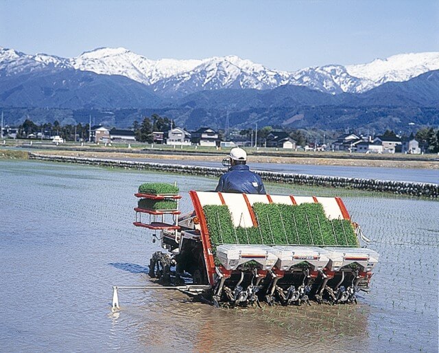 田植えの画像