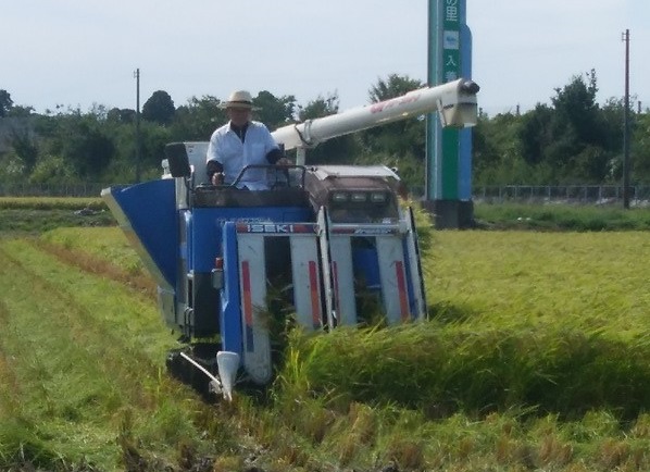 稲刈りをしている写真。男性が田んぼの中で稲刈り機を運転している。