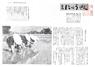 広報入善1962年6月号の表紙の写真
