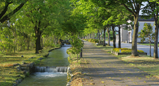 入善町の風景