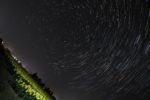 チューリップ畑の夜空に煌めく星たちの写真
