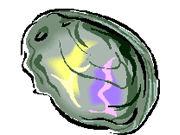 牡蠣貝の貝殻のイメージイラストの写真