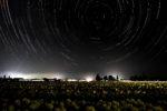夜のチューリップ畑の空のたくさんの星がプラネタリウムのように輝いている写真