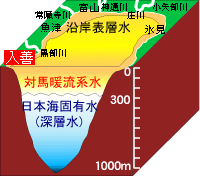 富山湾の水塊構造の断面図のイラスト 詳細は以下