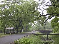 小川が流れる木々に囲まれた遊歩道がある公園の写真