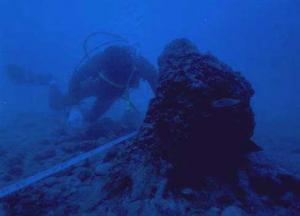 測量しているダイバーの側には円錐形をした「立ち木」がある海底林の写真