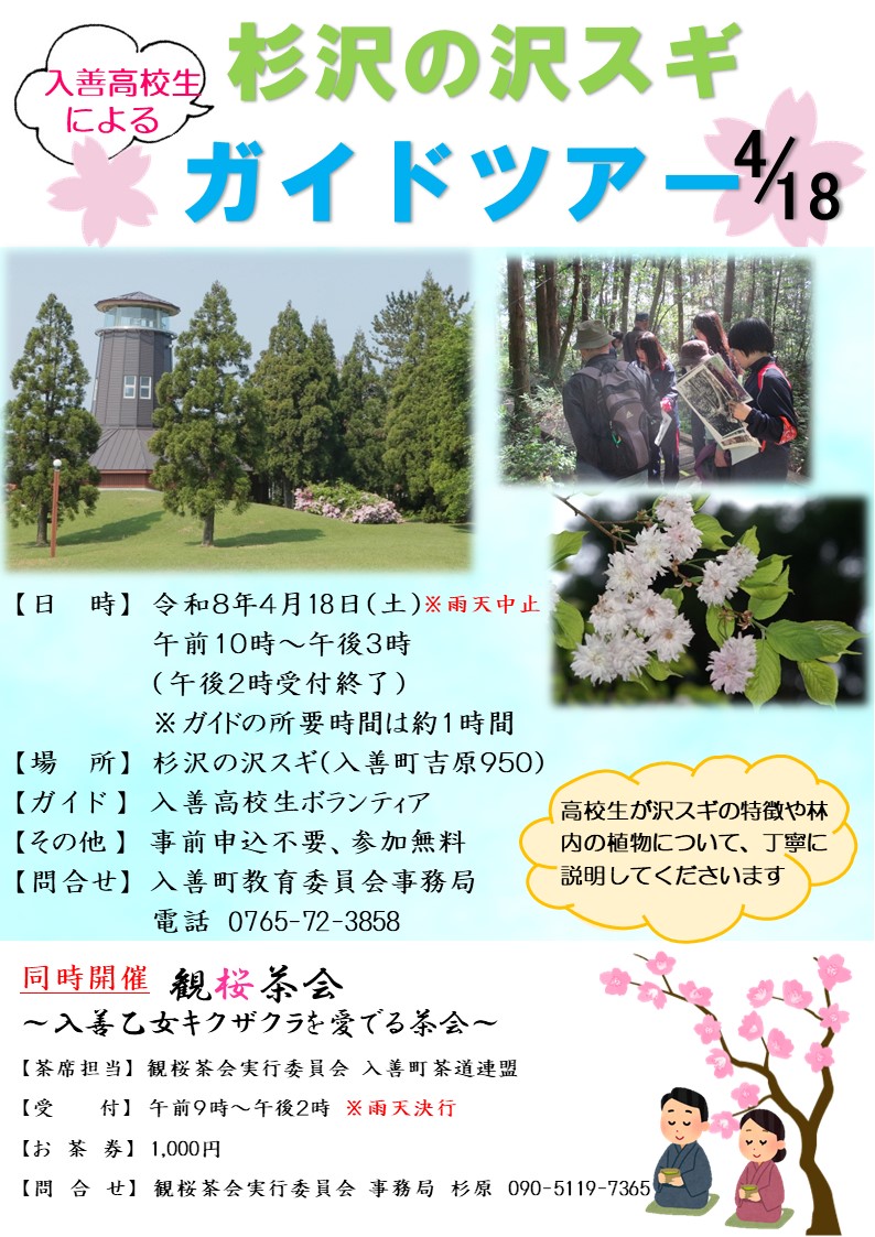 R8沢スギガイドツアー