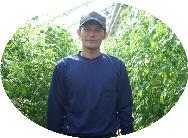 ビニールハウスの中で、背丈以上に茎葉を伸ばしたトマトの蔓に囲まれ、紺色で長袖の作業シャツにキャップをかぶった男性の写真