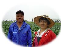 キャベツ畑を背景に撮影した、青い作業着姿の男性と、麦わら帽子をかぶった赤い服装の女性の写真