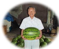 大きな楕円形の入善ジャンボ西瓜を両手で確り持ち上げる半袖シャツ姿の男性の写真