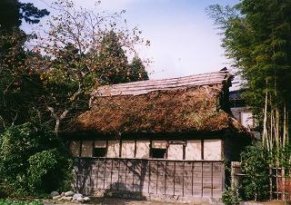 青空と緑の木々に囲まれた白壁で茶色く色づいている茅葺屋根の民家の写真