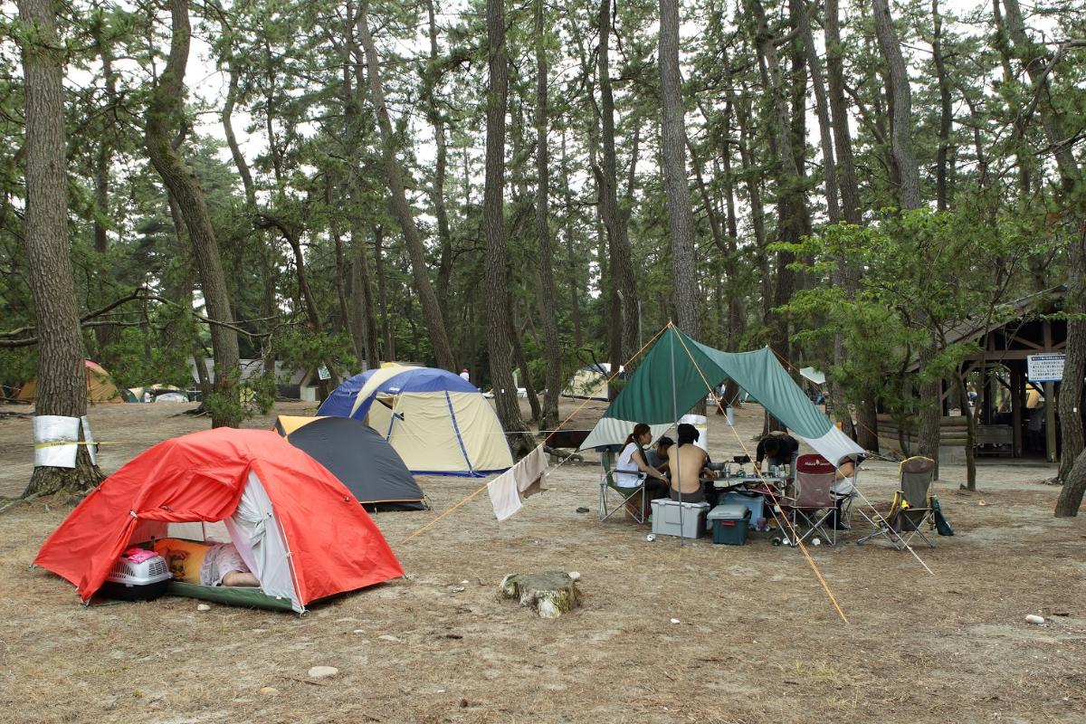 赤や緑のテントを設置し、園家山キャンプ場を利用している人たちの様子の写真