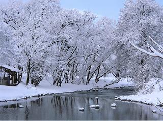 あたり一面、木々も雪に覆われ静まりかえる冬の墓ノ木自然公園