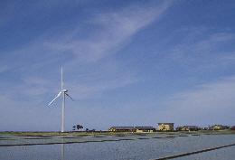 青空のもと田植えの終わった田園の中に立つ入善浄化センター風力発電所の風車の写真