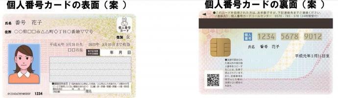 マイナンバー、個人番号カードの表面と裏面の写真