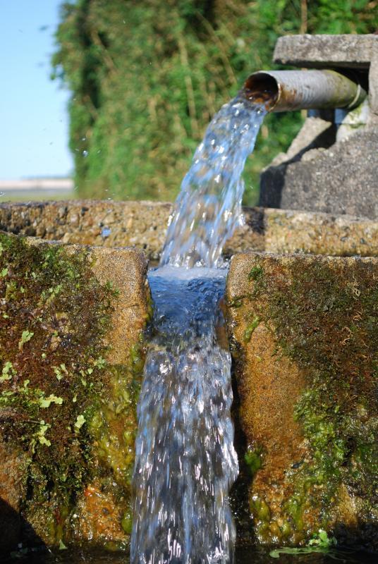 黒部川扇状地の地下水から勢いよく出ている水の写真